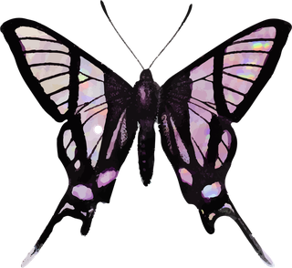 butterflypink-holographic-glittery-butterfly-design-element-set-vector-880440