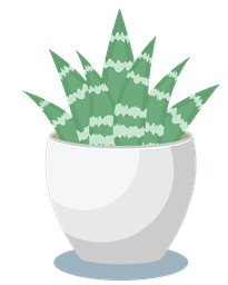 charmingcactus-plants-in-white-pots-illustration-430955