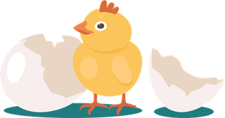 chickeneggs-hatch-hatching-bird-process-set-690957
