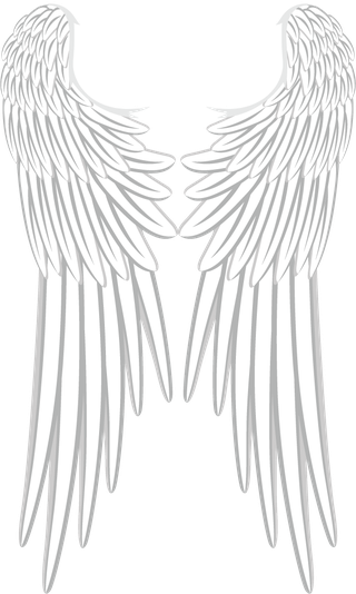 collectionof-angel-wings-icons-with-a-variety-of-unique-design-and-wearing-a-outline-design-style-828662