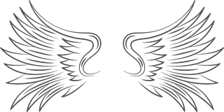 collectionof-angel-wings-icons-with-a-variety-of-unique-design-and-wearing-a-outline-design-style-418401