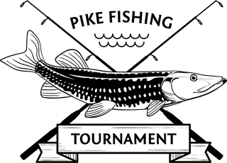 collectionof-bass-fishing-emblem-and-badge-456226