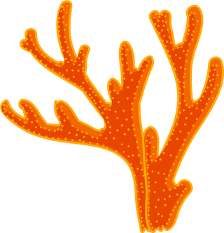 differencetype-of-colorful-coral-illustration-986306
