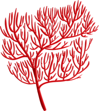 differencetype-of-colorful-coral-illustration-7453