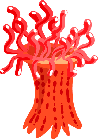 differencetype-of-colorful-coral-illustration-988702