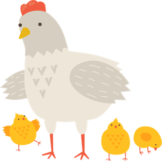 hencute-hens-chicken-582955