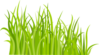 decorativegreen-grass-pattern-174719