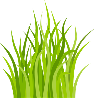 decorativegreen-grass-pattern-177328