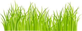 decorativegreen-grass-pattern-182406