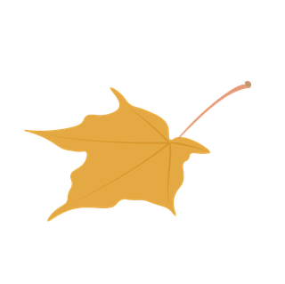 delicateautumn-leaf-illustration-perfect-for-nature-inspired-projects-360541