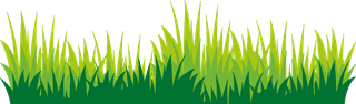 differenttype-of-decorative-grass-element-13145