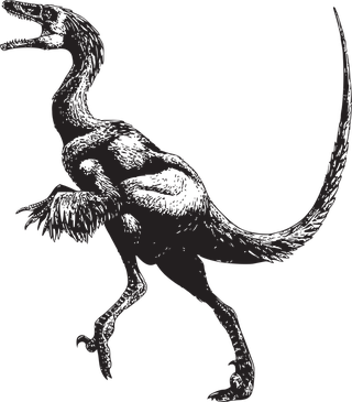 dinosaurvector-angry-dinosaurs-804863
