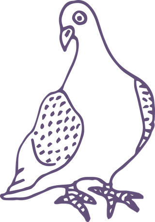 dovepigeon-in-sketch-style-for-any-kind-of-this-city-bird-related-project-273597