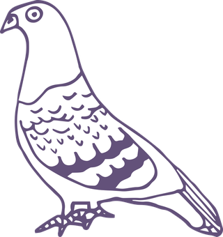 dovepigeon-in-sketch-style-for-any-kind-of-this-city-bird-related-project-476249
