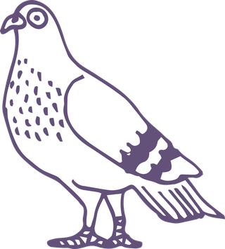 dovepigeon-in-sketch-style-for-any-kind-of-this-city-bird-related-project-507469