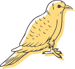 dovepigeons-in-sketch-drawing-style-for-any-kind-of-project-related-to-this-urban-751369