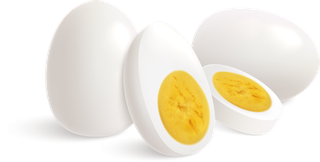 eggcolored-isolated-realistic-hen-eggs-illustrations-set-with-different-cooking-methods-864848