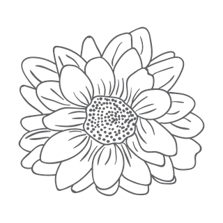 eleganthand-drawn-florals-for-invitations-and-cards-846946