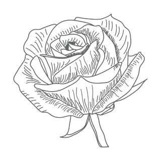 eleganthand-drawn-florals-for-invitations-and-cards-838886