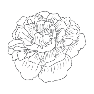 eleganthand-drawn-florals-for-invitations-and-cards-841748