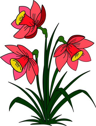 flowerbush-beautiful-red-flower-color-vector-233423