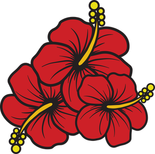 flowerhibiscus-deep-red-beautiful-flower-vector-418681