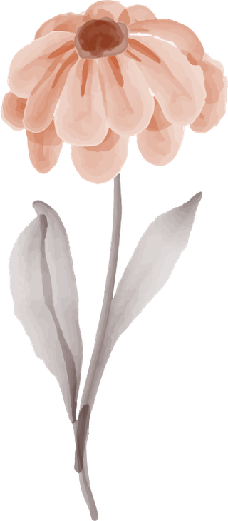 flowerorange-leaves-isolated-clip-art-vase-floral-341117