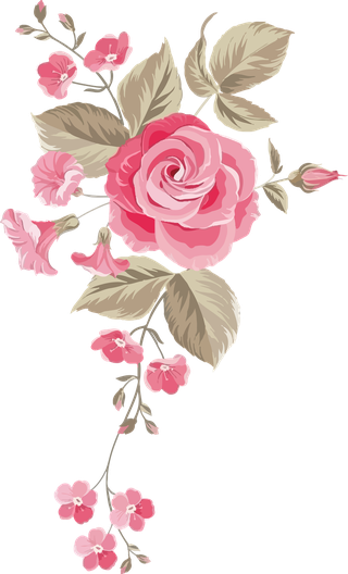 flowervector-color-pink-bontanical-742399