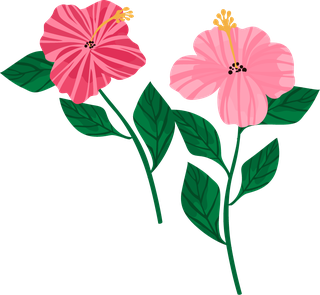 simplepink-flowers-illustration-689208