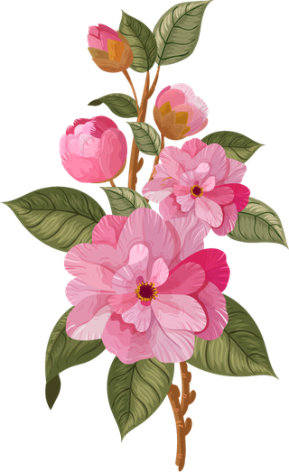 flowersicons-branch-petals-sketch-classical-colorful-design-176200