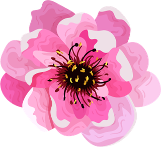 flowersicons-branch-petals-sketch-classical-colorful-design-896941