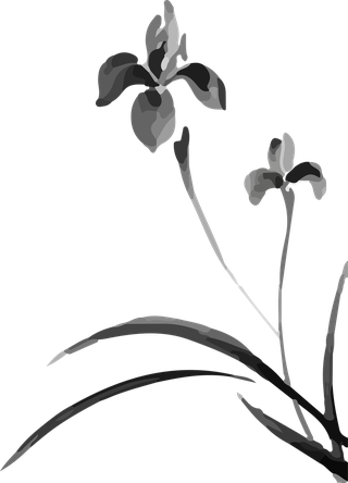 flowersplants-bontanical-black-watercolor-vector-cover-913141