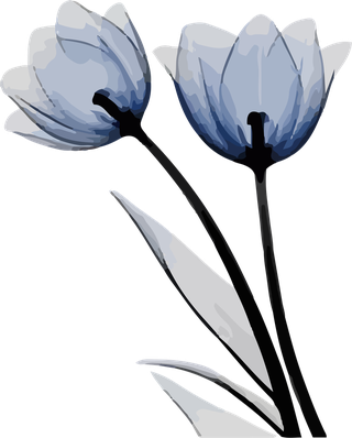 flowersplants-bontanical-watercolor-vector-cover-17058