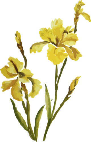 flowersplants-bontanical-watercolor-vector-cover-835757