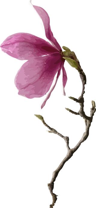 flowersplants-bontanical-watercolor-vector-cover-45596