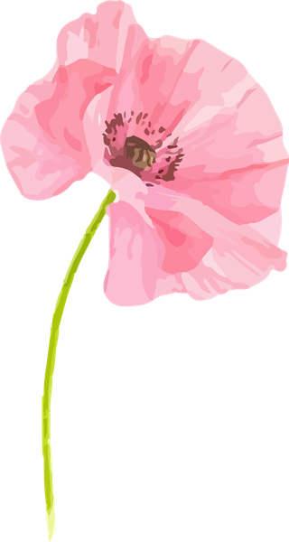 flowersplants-bontanical-watercolor-vector-cover-548701