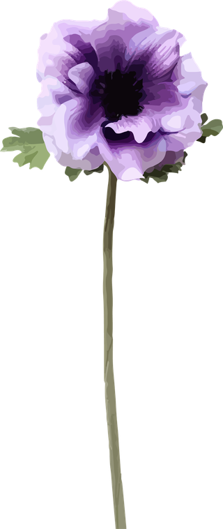 flowersplants-bontanical-watercolor-vector-cover-367727