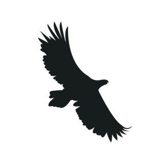 flyingbird-silhouette-black-bird-943923
