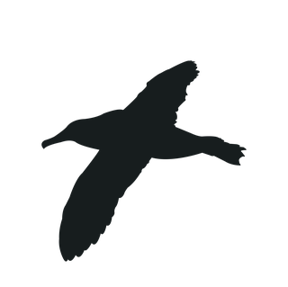 flyingbird-silhouette-black-bird-948377