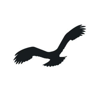 flyingbird-silhouette-black-bird-951424