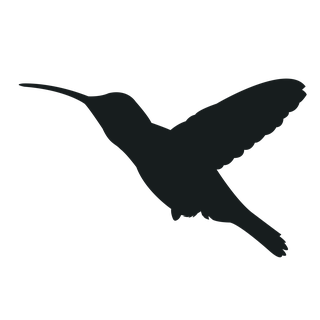 flyingbird-silhouette-black-bird-954138