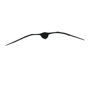 flyingbird-silhouette-black-bird-964244