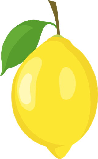 freshlemon-fruit-and-lemon-slice-illustration-697179