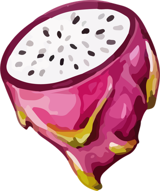 fruitdragon-fruit-color-vector-140575