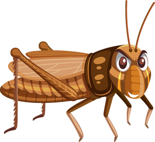 grasshoppervecteezy-illustration-of-a-group-of-bugs-548573