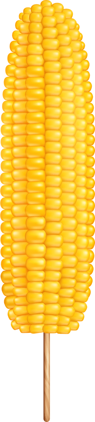 grilledcorn-realistic-corn-transparent-set-503318