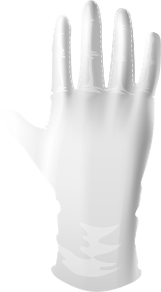 handgestures-different-positions-isolated-transparent-background-636420