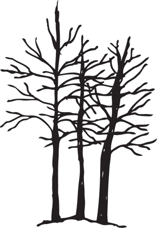 handdrawnicons-ribbon-mount-tree-arrow-sketch-382637