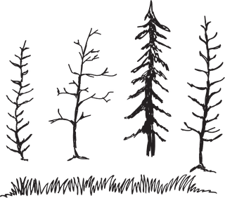 handdrawnicons-ribbon-mount-tree-arrow-sketch-679295
