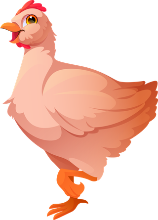 henset-pets-domestic-wild-animals-their-homes-cute-characters-chicken-29073